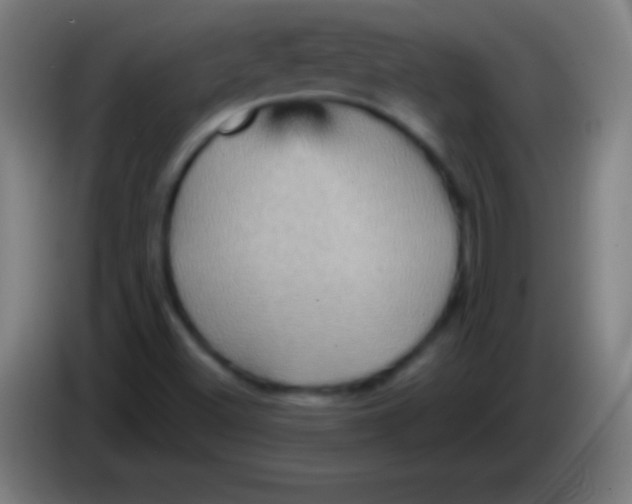 X0000085301500200703301948