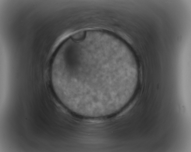 X0000085301501200703301948