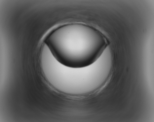 X0000085301502200703301948