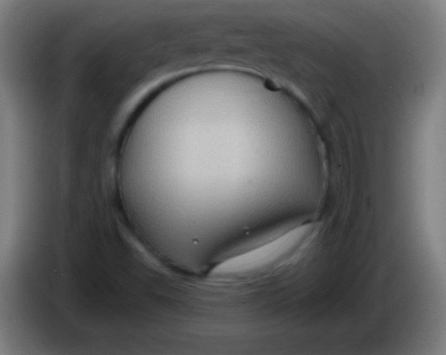 X0000085301503200703301948