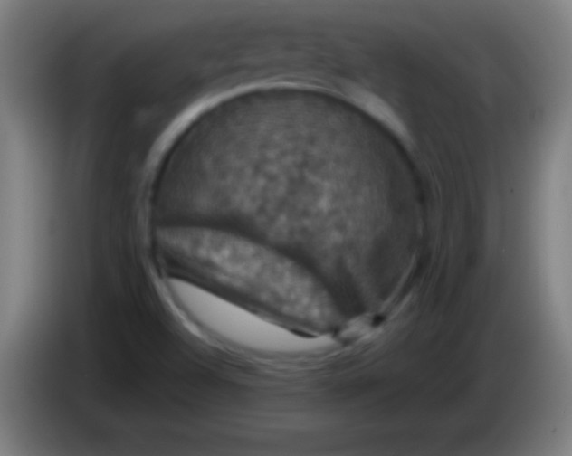 X0000085301504200703301948