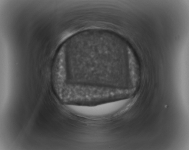 X0000085301505200703301948