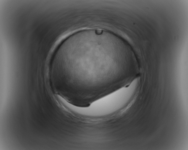 X0000085301506200703301948