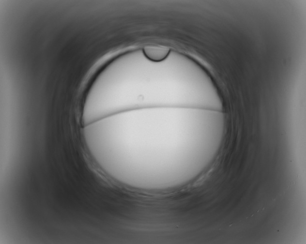 X0000085301507200703301948