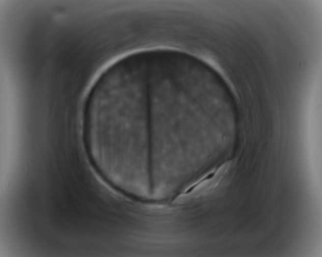 X0000085301508200703301948