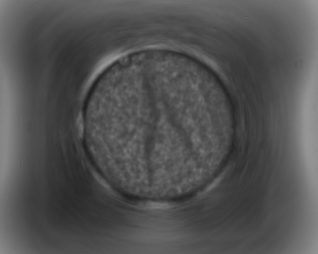 X0000085301509200703301948