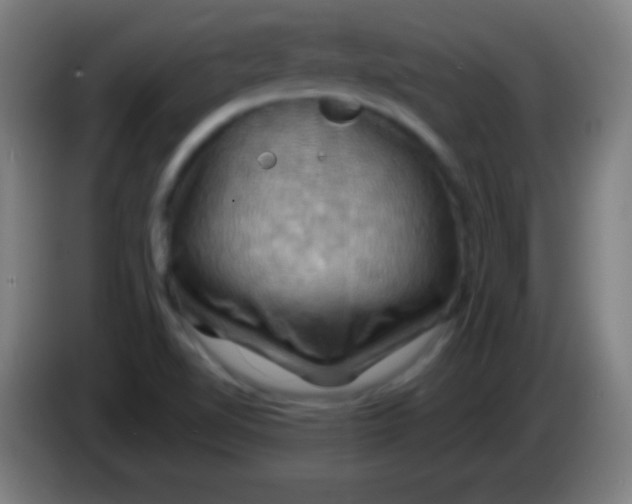 X0000085301510200703301948