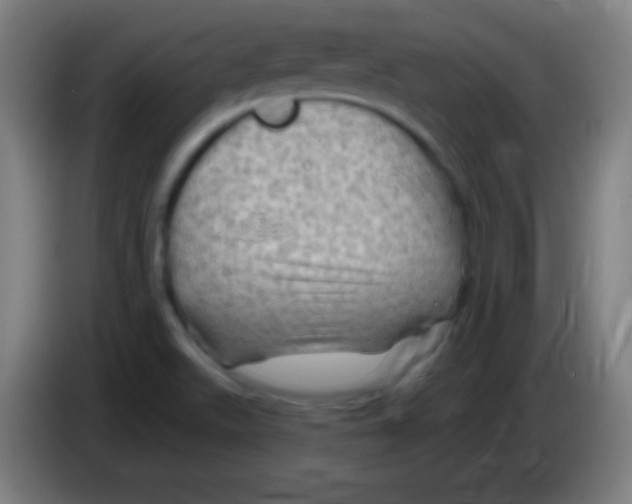 X0000085301511200703301948