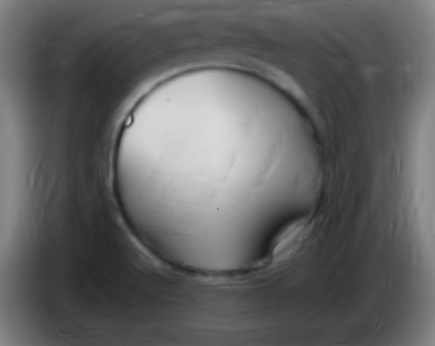 X0000085301512200703301948