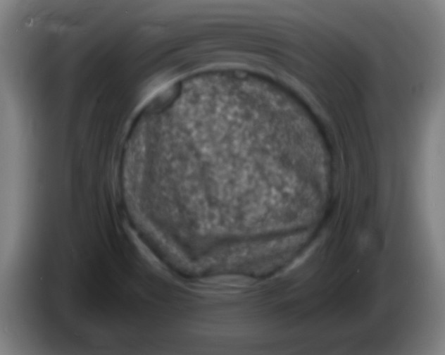 X0000085301513200703301948