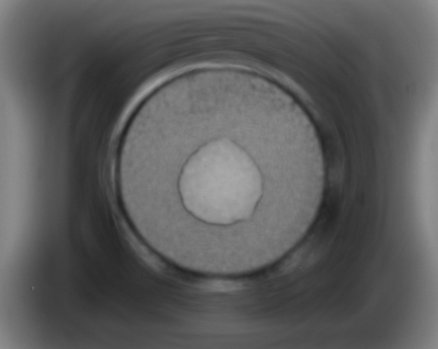 X0000085301514200703301948