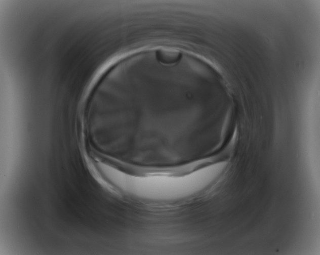 X0000085301515200703301948