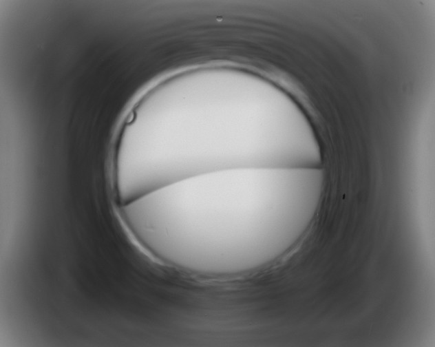 X0000085301516200703301948