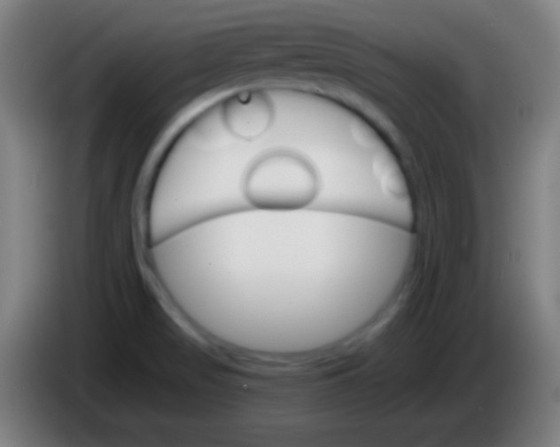 X0000085301517200703301948