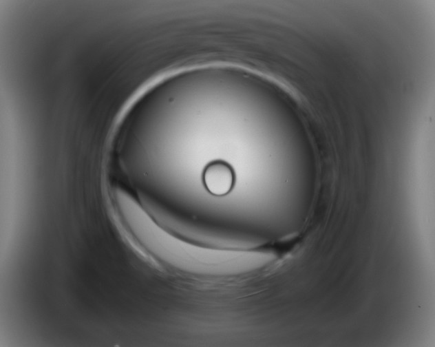 X0000085301518200703301948