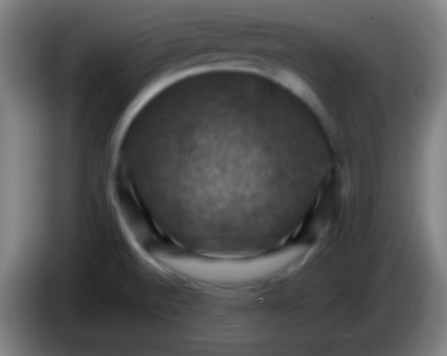 X0000085301520200703301948