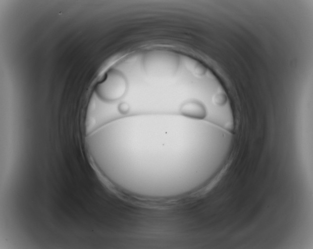 X0000085301521200703301948