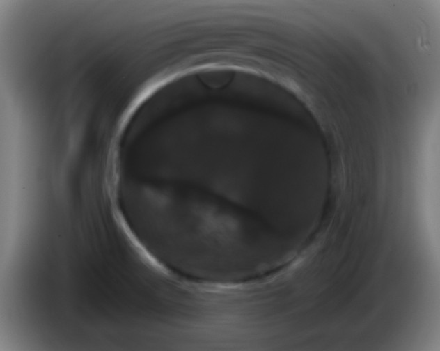 X0000085301522200703301948