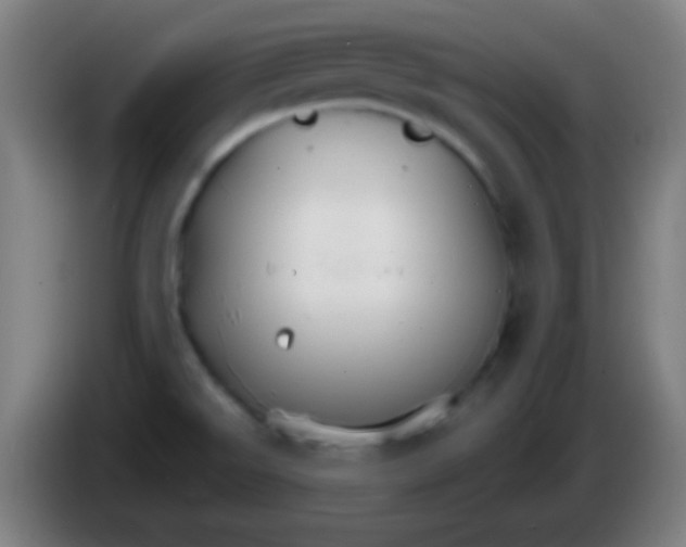 X0000085301526200703301949