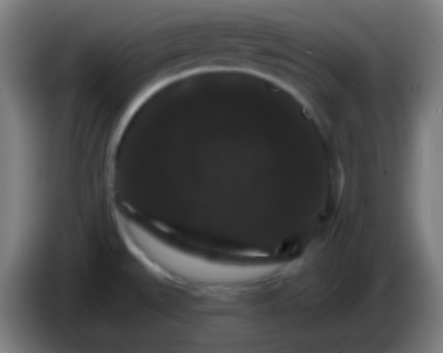 X0000085301527200703301949