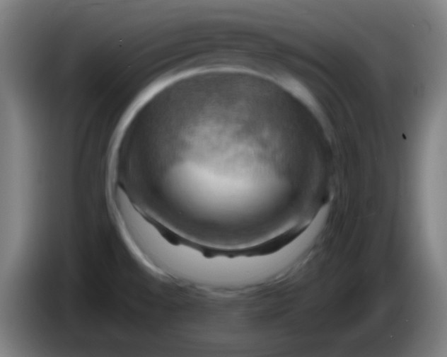 X0000085301528200703301949