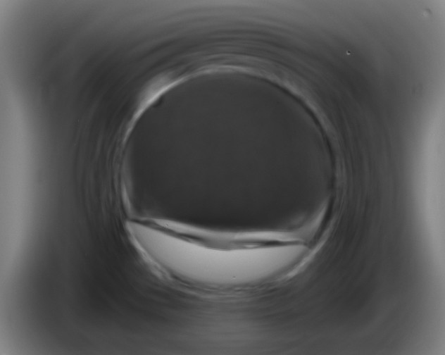 X0000085301529200703301949