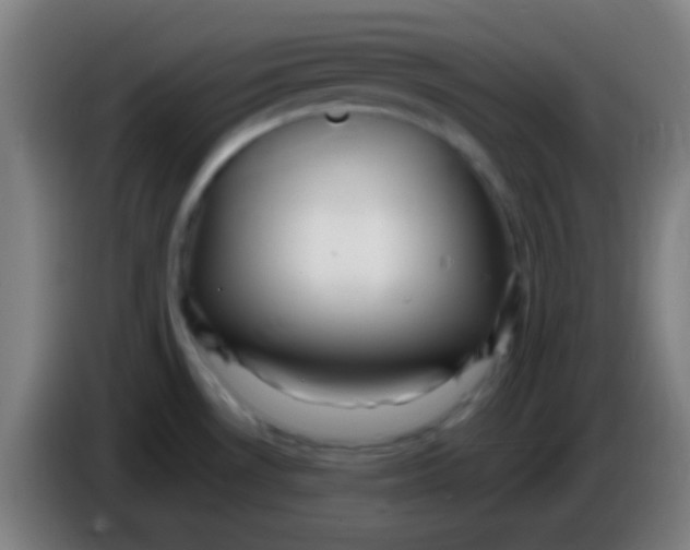 X0000085301530200703301949