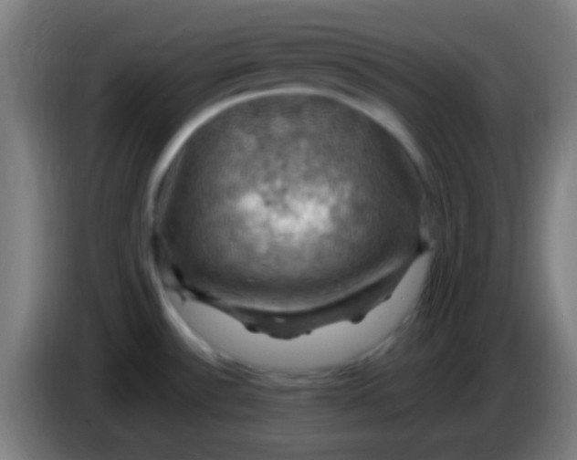 X0000085301532200703301949