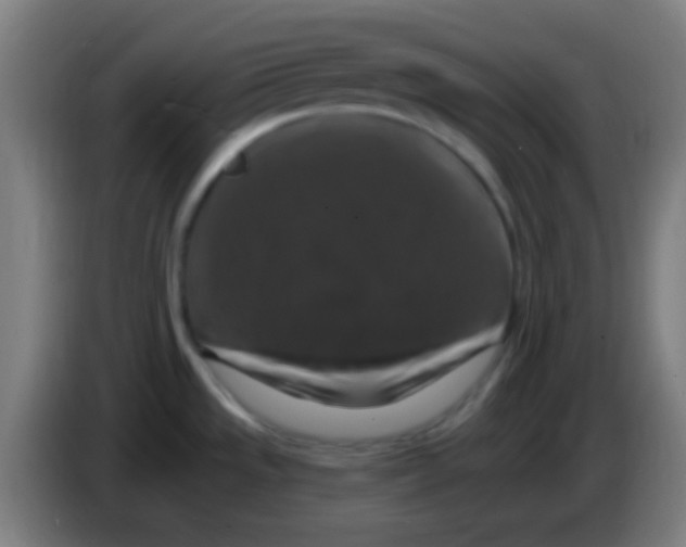 X0000085301533200703301949