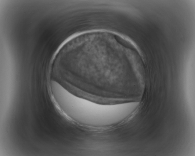 X0000085301534200703301949