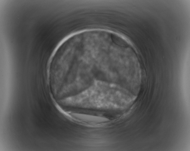 X0000085301535200703301949