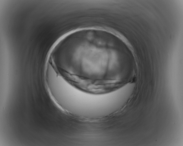 X0000085301536200703301949