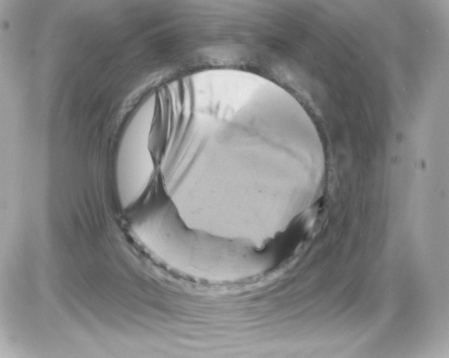 X0000085300019200704092309