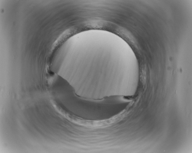X0000085300023200704092309