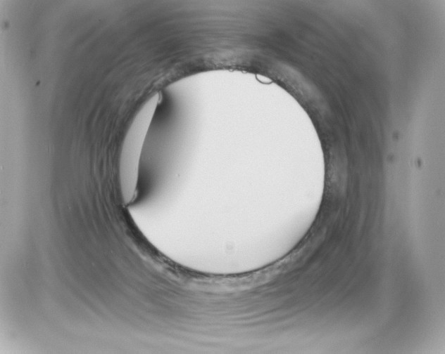 X0000085300025200704092309