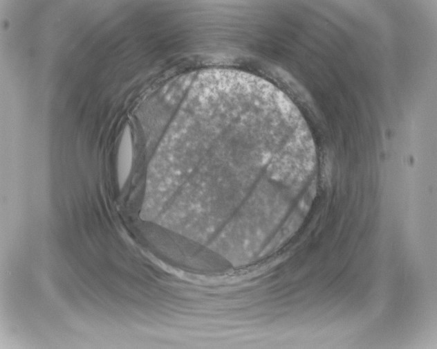 X0000085300026200704092309