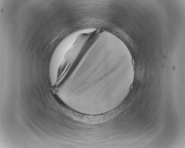 X0000085300027200704092309