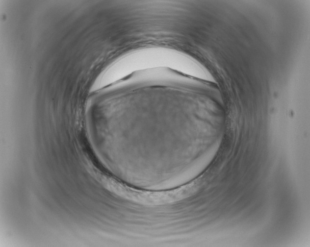 X0000085300031200704092309