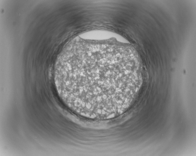 X0000085300032200704092309