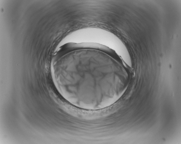 X0000085300039200704092309