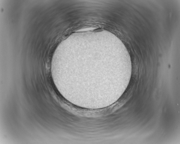X0000085300040200704092309