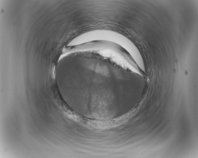 X0000085300041200704092309