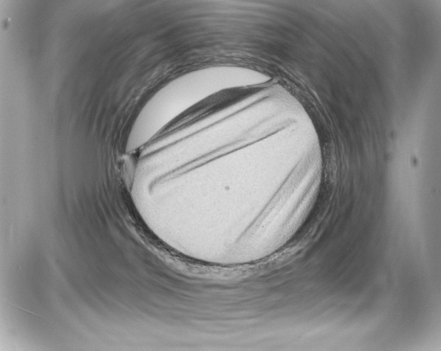 X0000085300044200704092309