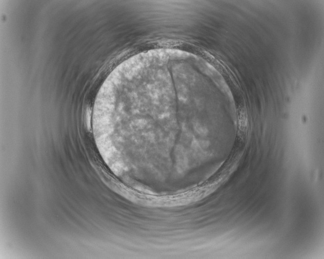 X0000085300046200704092309