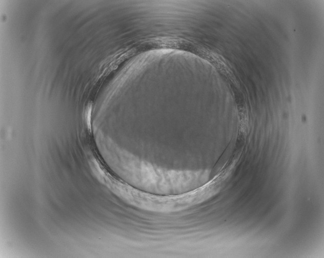 X0000085300047200704092309