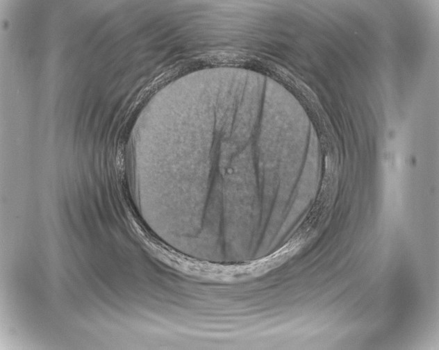 X0000085300048200704092309