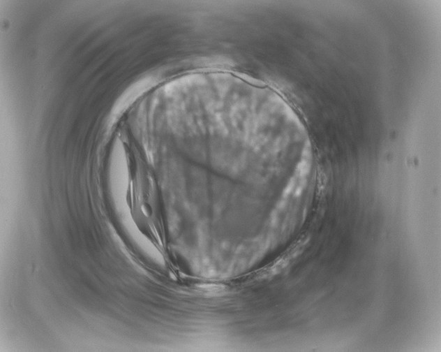 X0000085300053200704092308