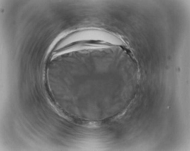 X0000085300056200704092308