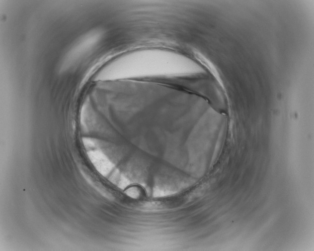 X0000085300059200704092308