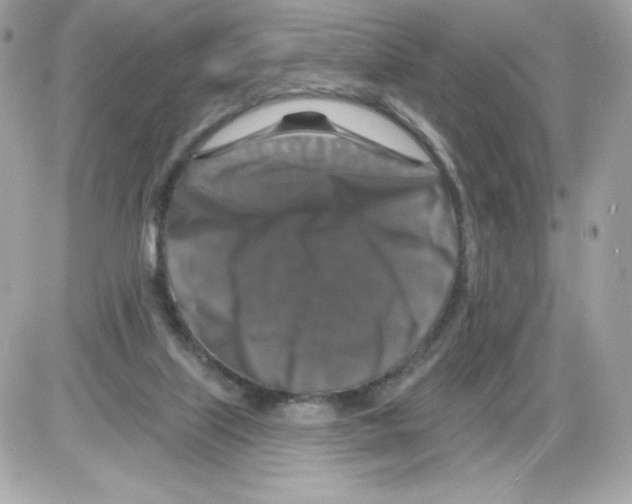 X0000085300067200704092308